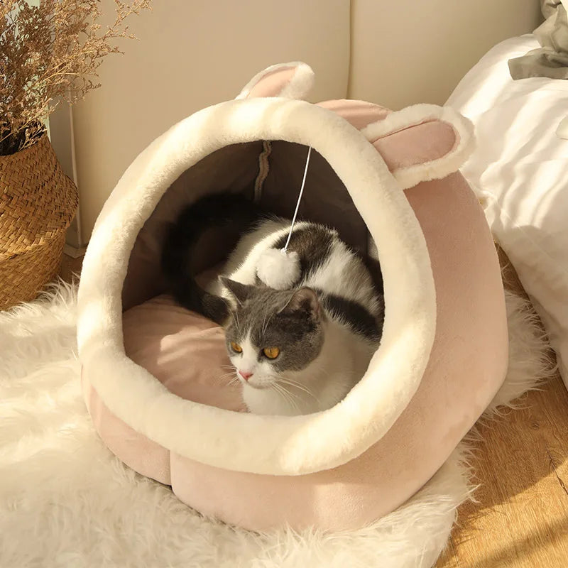 Cartoon Foldable Cat & Pet Bed