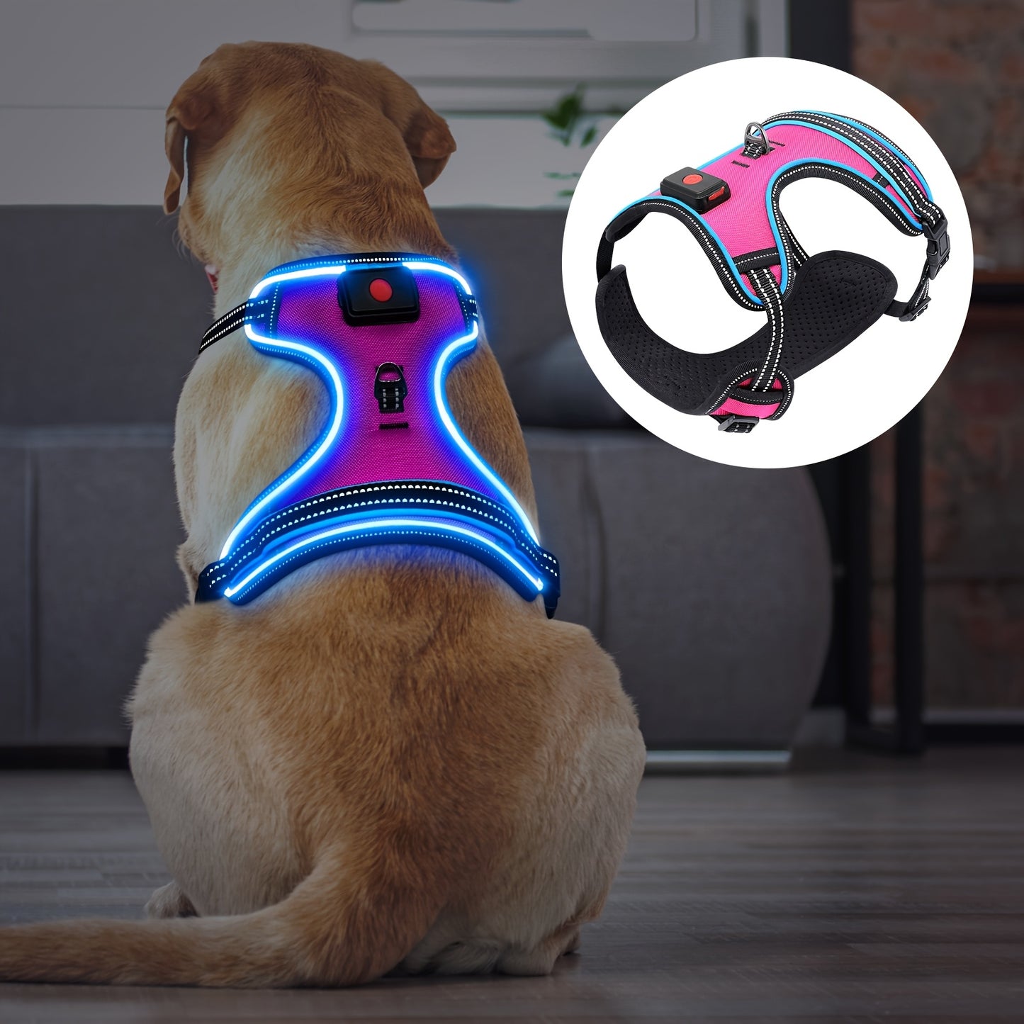 Rechargeable LED Dog Harness