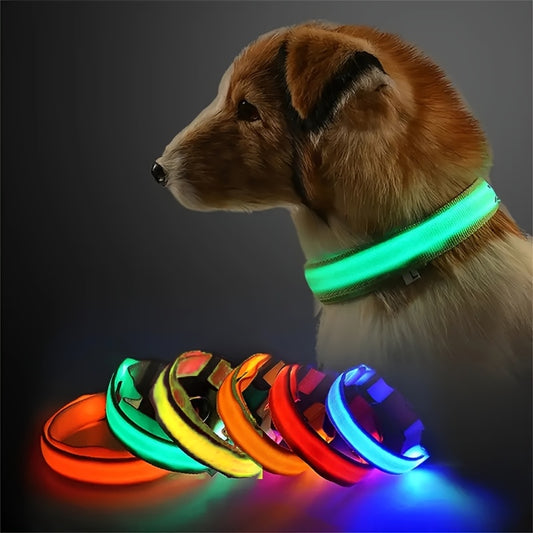 Glowing LED Dog Collar