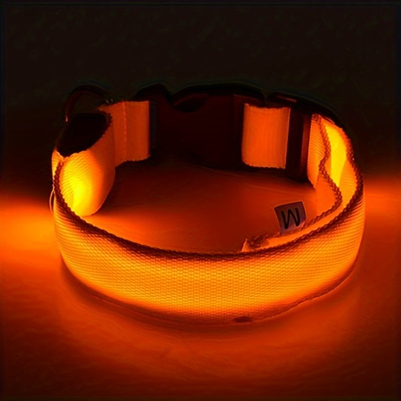 Glowing LED Dog Collar