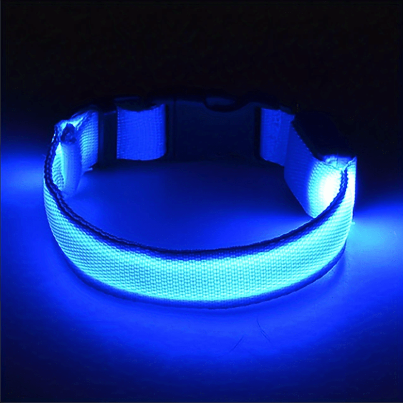 Glowing LED Dog Collar