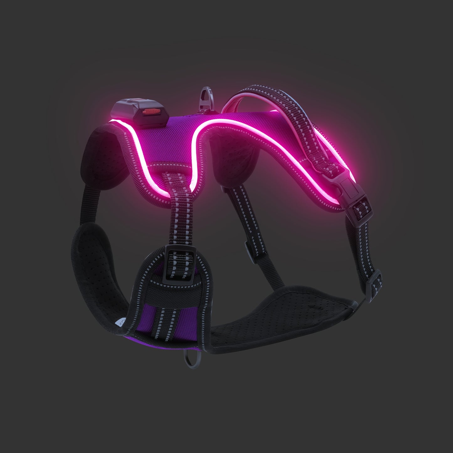Rechargeable LED Dog Harness