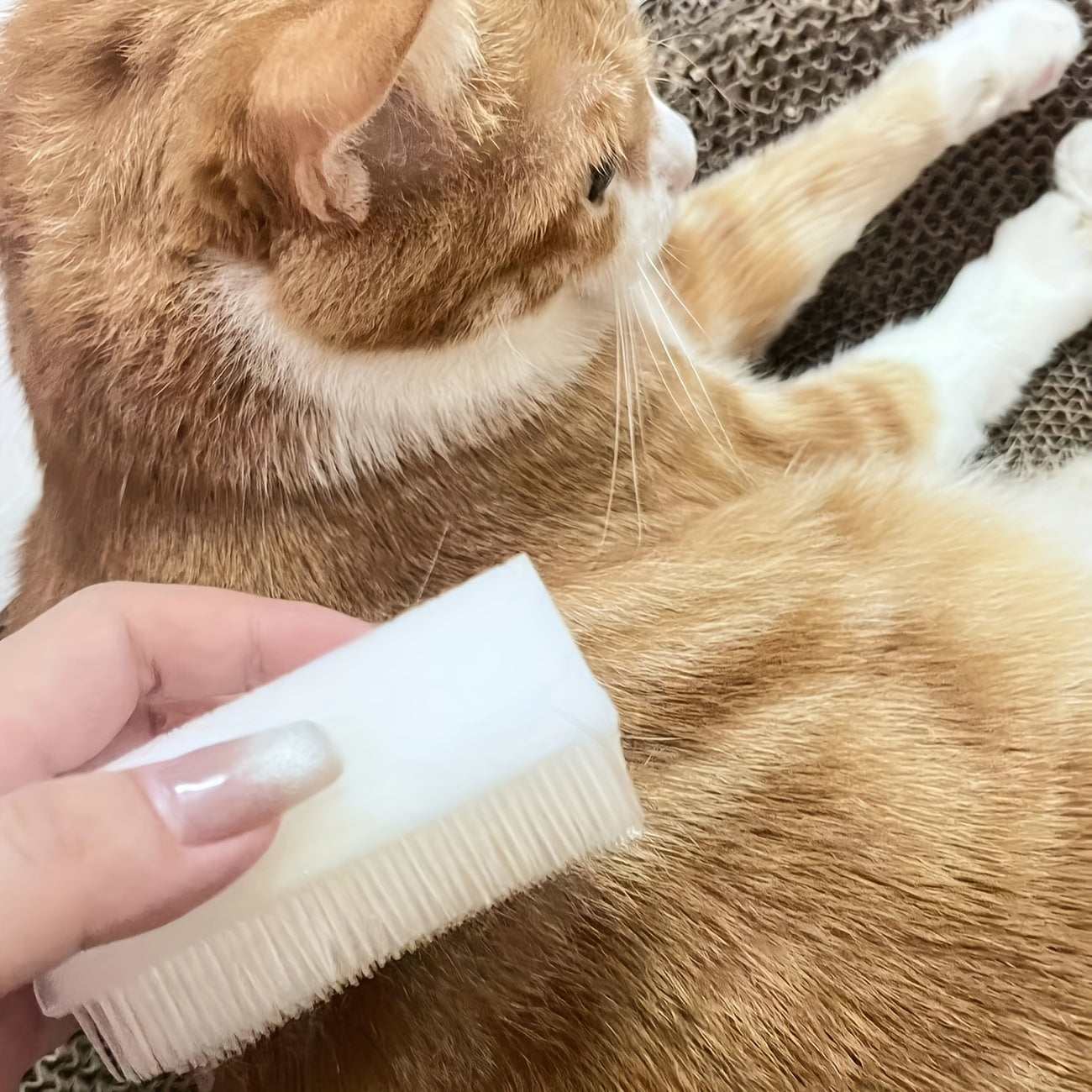 Soft Bristle Cat Tongue Brush