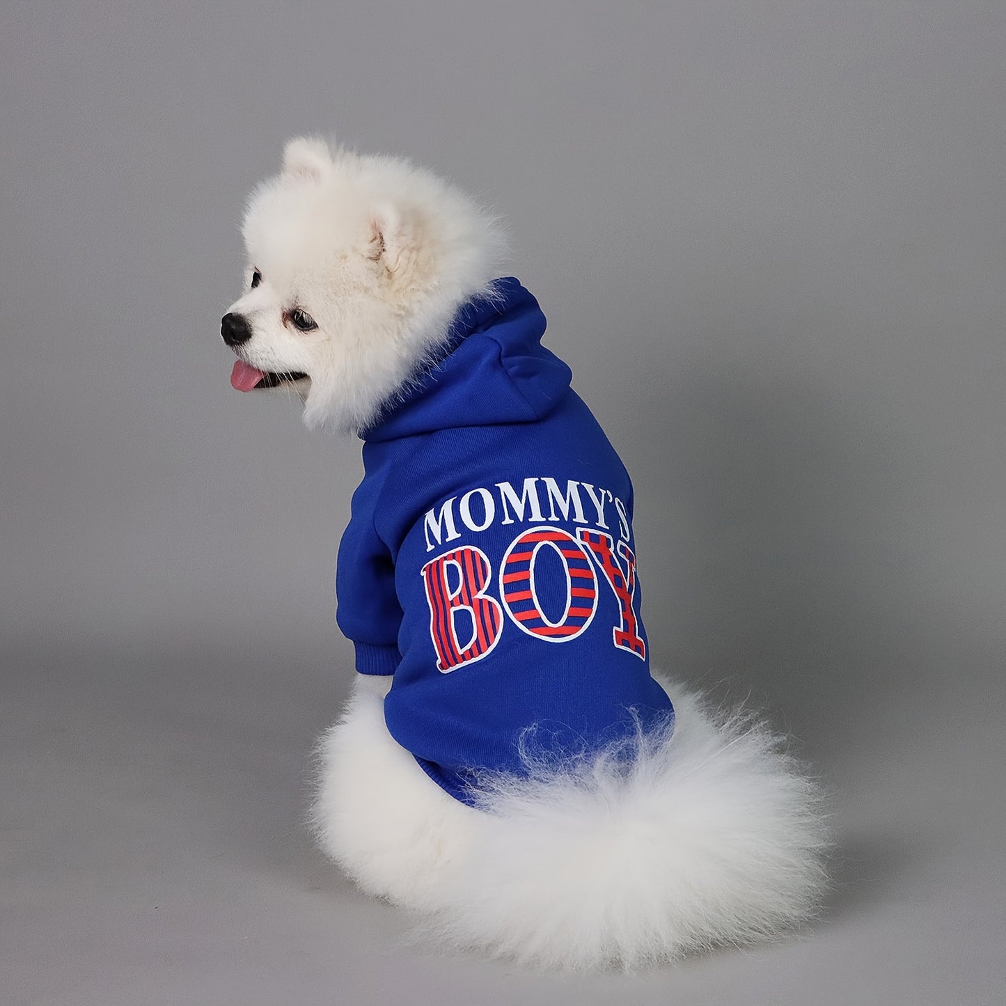 Mommy's Boy" Dog Hoodie