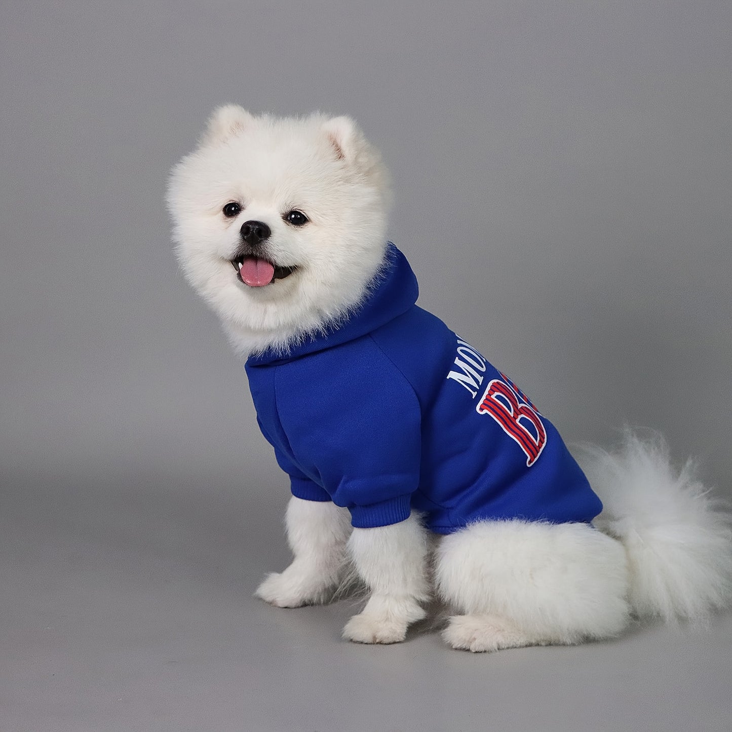 Mommy's Boy" Dog Hoodie