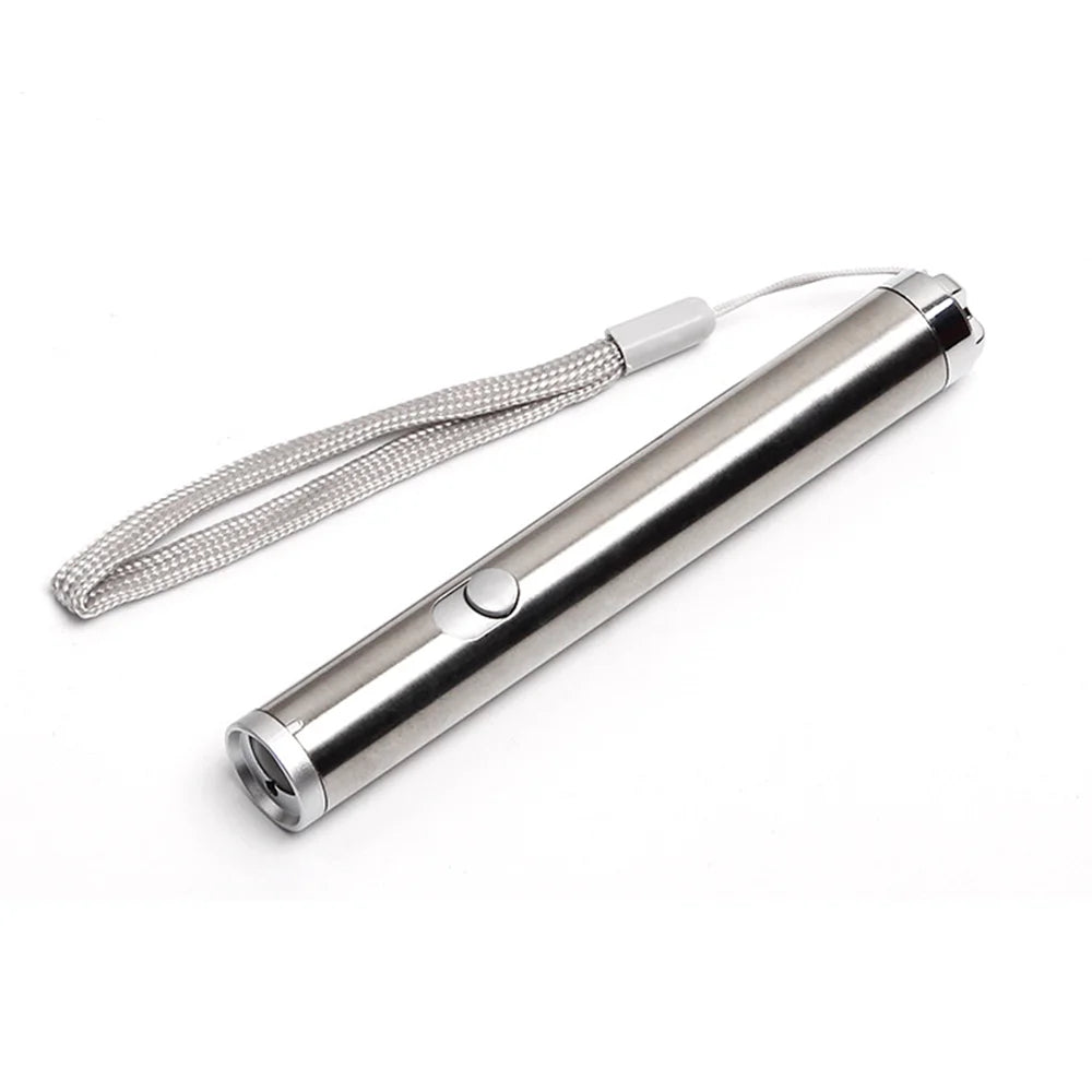 LED Laser Pointer & Flashlight for Cats