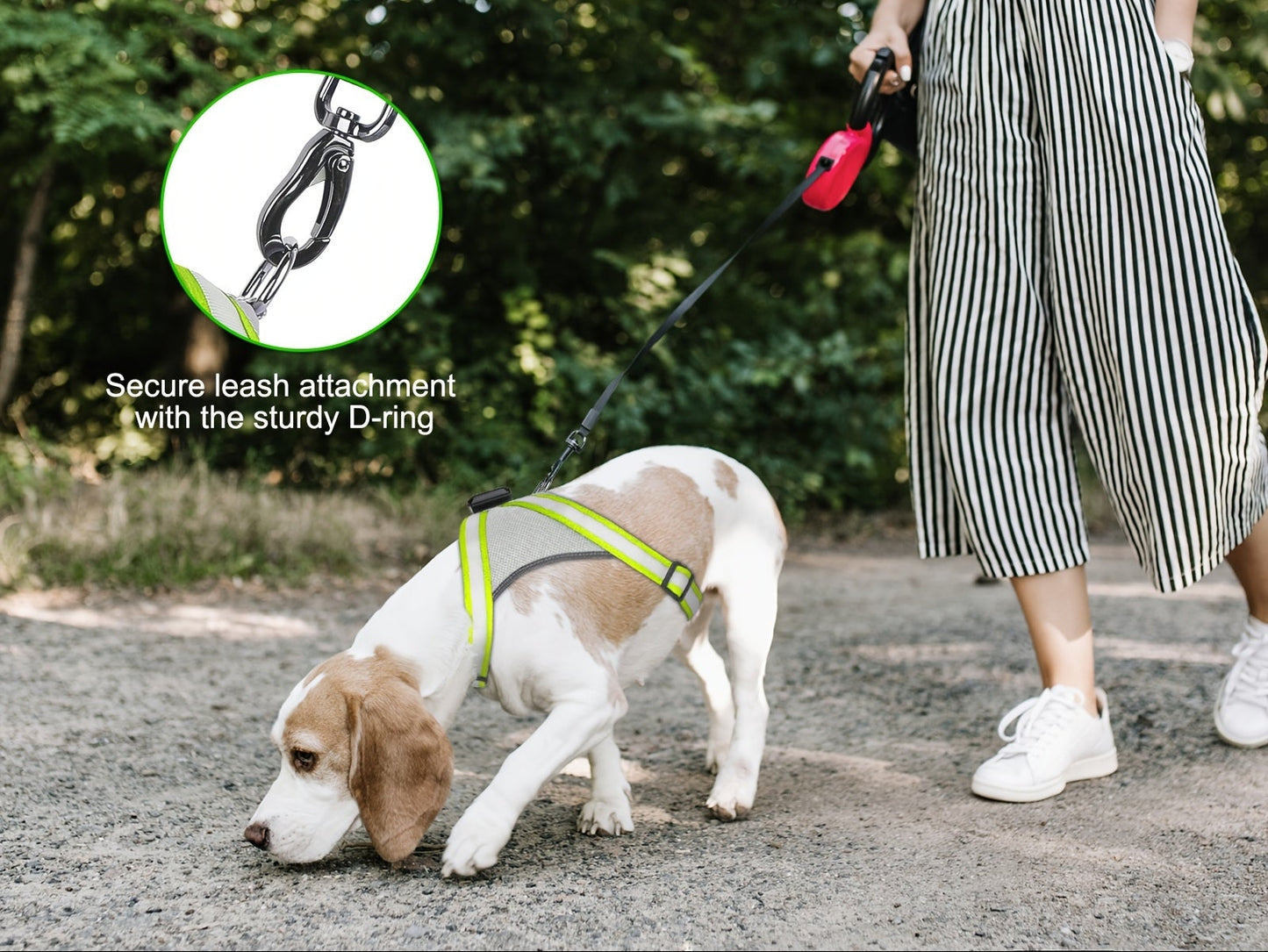 LED Light-Up Dog Harness