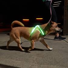 LED Light-Up Dog Harness