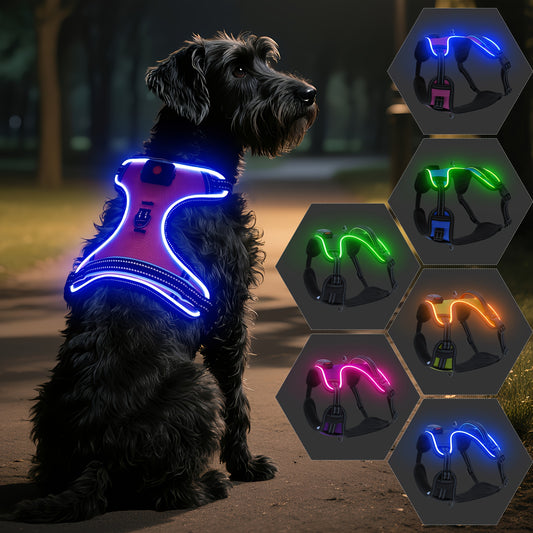 Rechargeable LED Dog Harness