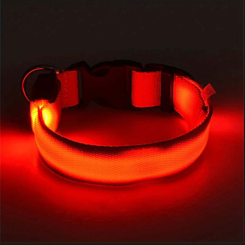 Glowing LED Dog Collar